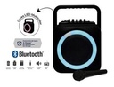 AMPLIFICADOR CON RADIO PORT + MICROFONO VTA-82481